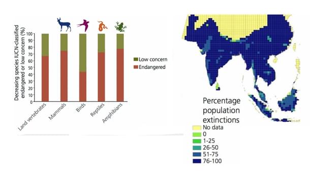 Infographics from the paper provide some troubling scenarios on the ongoing extinctions. 