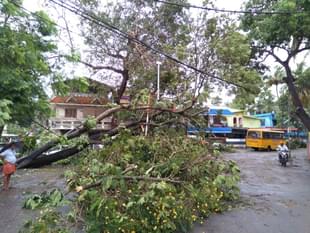 Trees uprooted by heavy winds caused by Cyclone Ockhi in Thiruvananthapuram. (Vivek Nair/Hindustan Times via Getty Images) 