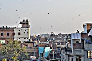 Old city’s skyline dotted with kites on the eve of Lohri