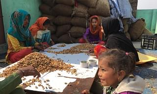 Rohingya girls crack walnuts at a factory