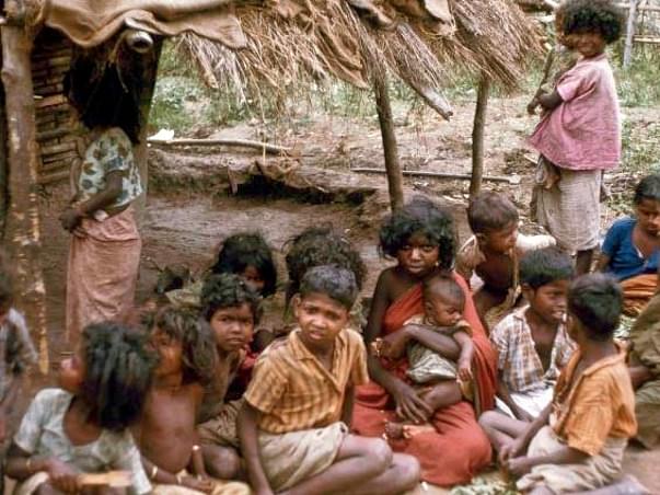 The tribal families of Attappady