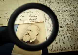 Original letters from Charles Darwin are displayed at the Herbaruim library at the Royal Botanic Gardens, Kew in London. (Peter Macdiarmid/Getty Images)