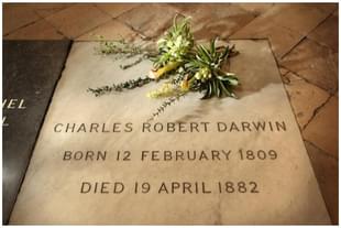 A wreath of plants from Charles Darwin’s garden lie on his grave on the 200th anniversary of his birth at Westminster Abbey on February 12, 2009 in London. (Peter Macdiarmid/Getty Images) 