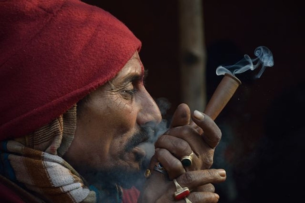 do cigars have less nicotine than cigarettes are cigarettes making a comeback? cigarettes have become less about nicotine and more about imagery and aesthetics, built over decades through film, fashion, and pop culture. even with declining smoking rates, cigarette