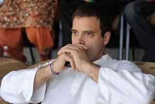 Congress president Rahul Gandhi in Mohali. (Raveendran-Pool/Getty Images)