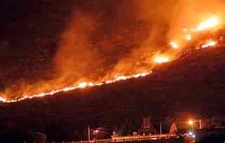 The forest fire in Theni. (pic via Twitter)