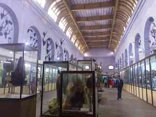 A section of the Indian Museum