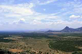 Bodi Hills at Bodikkanayakanur (<a href="https://commons.wikimedia.org/wiki/User:Hayathkhan.h">Hayathkhan.h</a>/Wikimedia Commons)