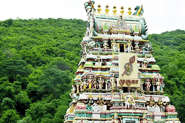 Palani Temple. (Youtube)