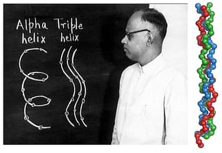 G N Ramachandran with a drawing of the triple helix model.