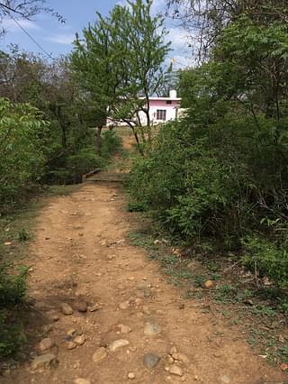 The mud track from Sanji Ram’s house that leads to the Devasthan (in pink). The stretch visible is almost half of the entire path. A few steps towards the left leads one to the spot where  the body was allegedly discovered by one Jagdish Raj.