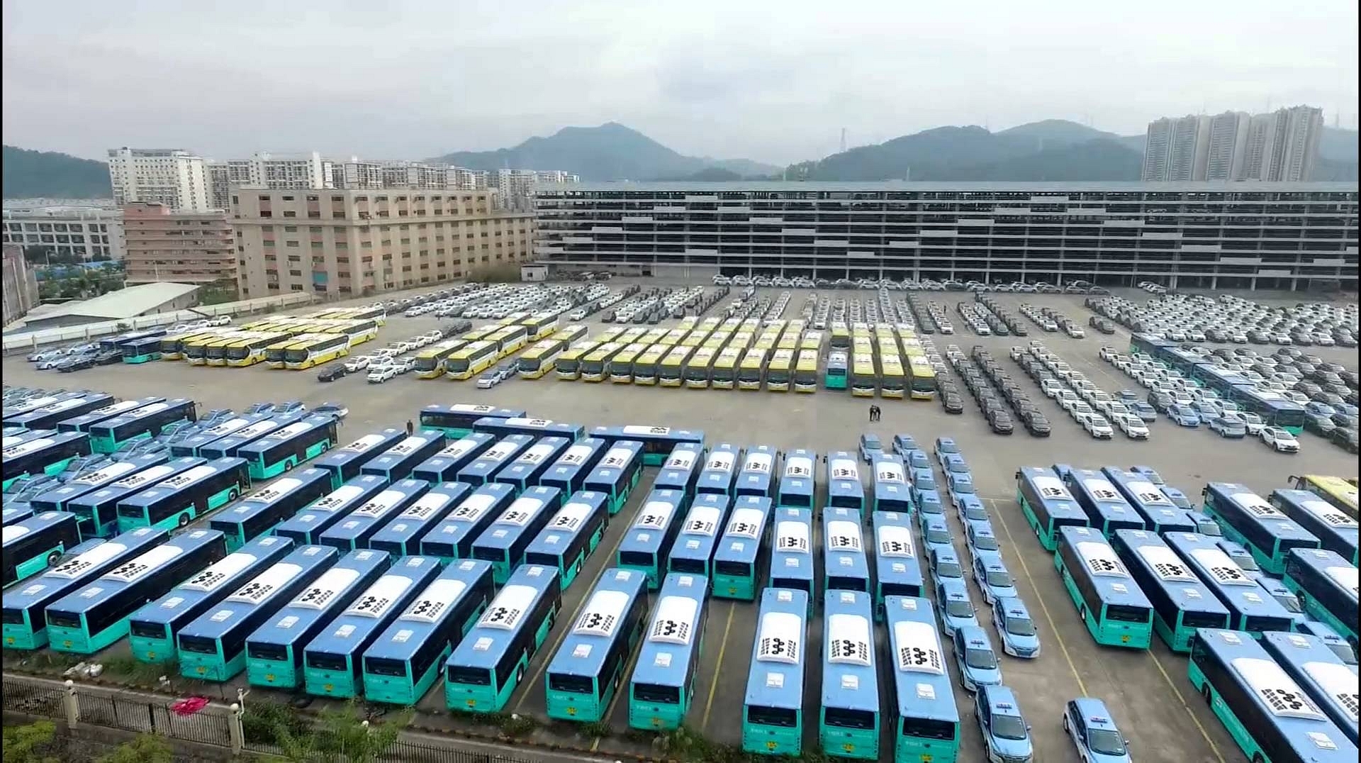BYD’s fleet of electric buses (BYD)