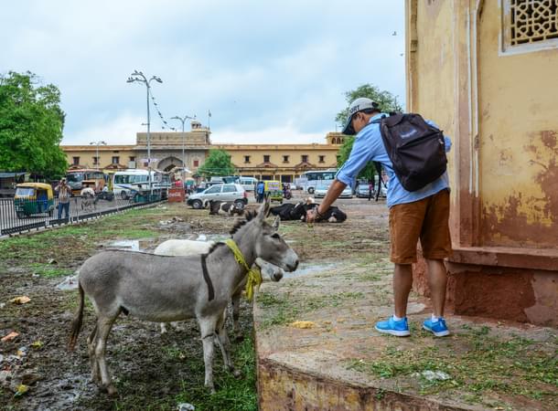 Indians simply do not care about either their heritage or environment. Both our heritage and environment are deteriorating before our very eyes. (PHUONG D. NGUYEN / SHUTTERSTOCK.COM)