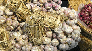 Garlic, the Mandsaur famers’ favourite.&nbsp;