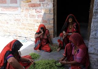 Jangpu Devi at her compound in Guda Bishnoi. For these women, <i>sangri </i>is more than just food.    