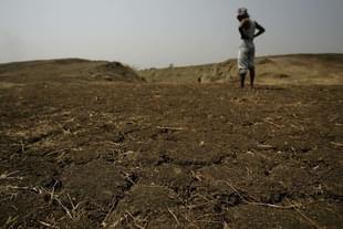 Data do not support the thesis that farmer suicides are particularly unusual in a country where poverty and distress of many kinds remain widespread problems. (Prasad Gori/Hindustan Times via Getty Images)