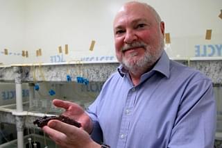Dr David Glanzman (courtesy: ucla.edu) ... transferring memory between snails.