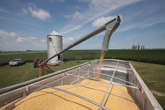A farmer loads soybeans onto a truck in Illinois. Soybean futures took a hit amid fears that China could hit the United States with tariffs (Scott Olsen/Getty Images)