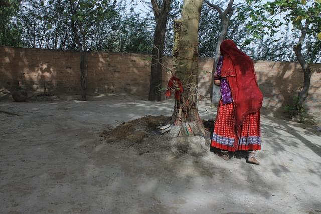 For Bishnoi women, trees are sacred, so is life in all manifestations.  