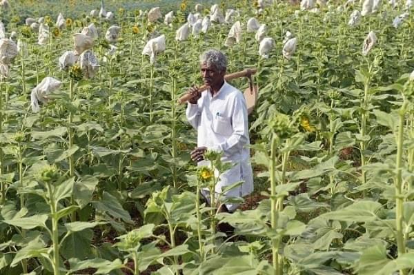 Farm loan waivers don’t help with farm productivity, says RBI. 