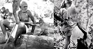 Both Ramana Maharishi and Jane Goodall used “he” and “she” to refer to non-human primates. Maharishi’s observations on monkey communities are insightful treasures which need to be studied by cognition scientists.&nbsp;