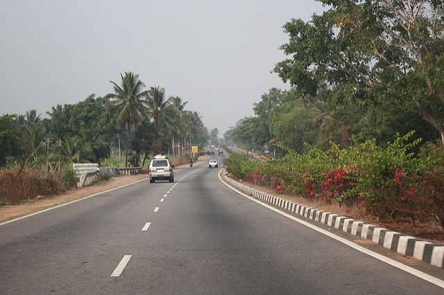 Trees along the Bengaluru-Mysuru highway (Vikas Rana/Flickr)