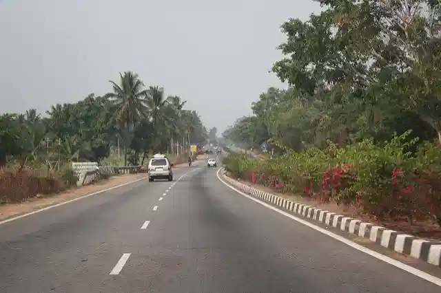 Trees along the Bengaluru-Mysuru highway (representative image) (Vikas Rana/Flickr)