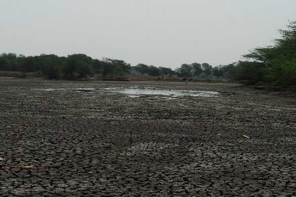 Arid and semi-arid Haryana was separated from the Punjab post-Independence. A scene at Sultanpur National Park, Gurugram district, Haryana (GettyImages)