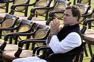 Congress President Rahul Gandhi  (Sonu Mehta/Hindustan Times via Getty Images)