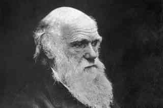 Charles Darwin who pioneered the theory of evolution (Spencer Arnold/Getty Images)
