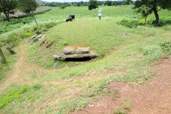 The stretch of greenery one sees in this picture was just a mound of grass for anyone who saw it.
