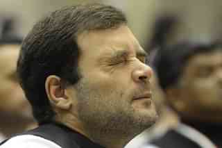 Rahul Gandhi (Vipin Kumar/Hindustan Times via Getty Images)
