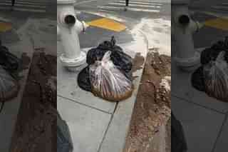 Plastic bag filled with ‘20 pounds of feces’ plopped on San Francisco sidewalk
