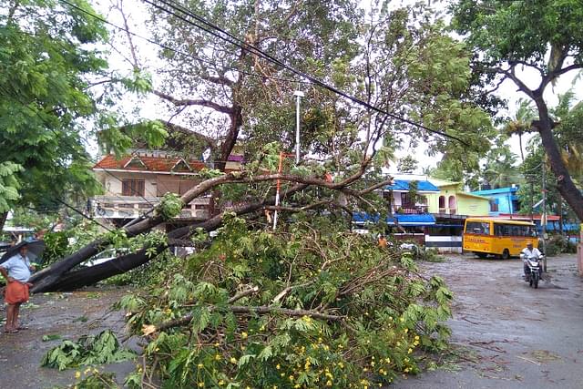Trees uprooted by heavy winds during the Cyclone Ockhi. (Representative Image/Vivek Nair/Hindustan Times via Getty Images)