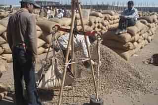 A mandi worker weighs groundnut at Rajkot market in Gujarat.