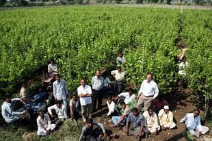 (Hemant Padalkar/Hindustan Times via Getty Images)