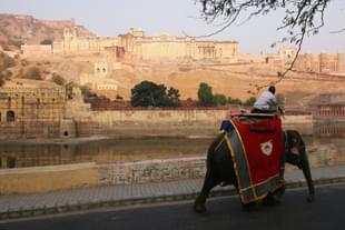 Representative Image. (John Moore/Getty Images)