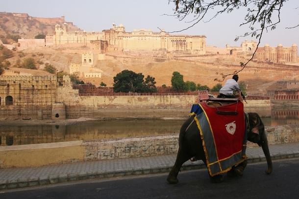 Representative Image. (John Moore/Getty Images)