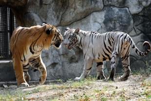 Representative Image. (Photo by Arvind Yadav/Hindustan Times via Getty Images)