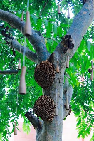 The clay beehives hung on a tree