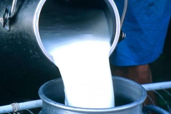 Milk adulteration can lead to serious damage to organs. (representative image)(@airnewsalerts/Twitter)