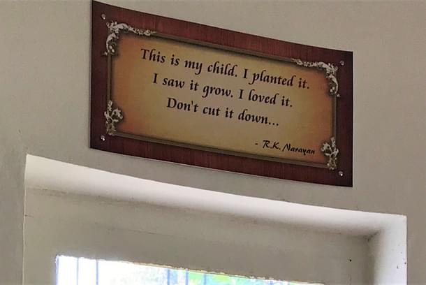 He loved the tree he had planted and wished it never be cut.