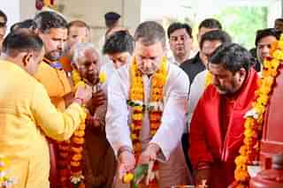 Rahul Gandhi offering prayer at Pitambara Peeth (@INCIndia/Twitter)