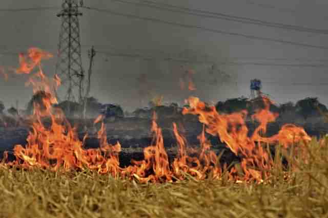Representative image (Gurpreet Singh/Hindustan Times via Getty Images)