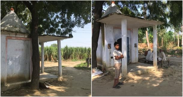 The alternate site offered for the site, that opens to a jungle