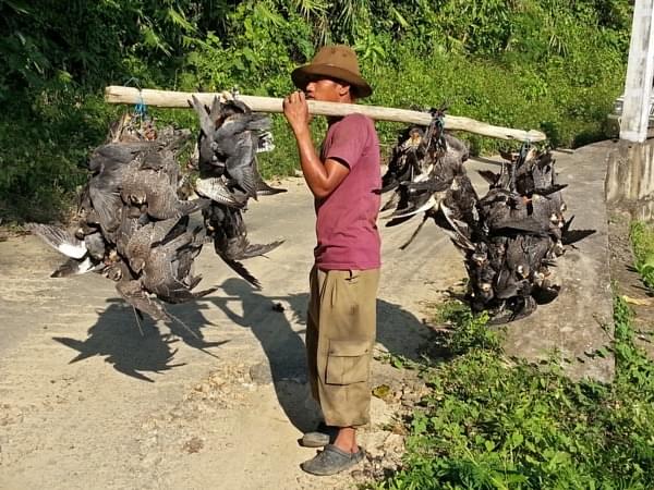 The migratory birds were being killed during their stopover in Nagaland