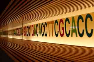 DNA Sequence [By MIKI Yoshihito via Wikimedia Commons]