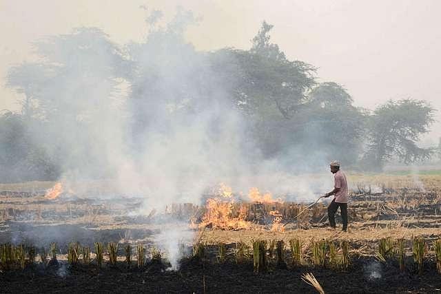 Paddy stubble burning (representative image) (NARINDER NANU/AFP/GettyImages)