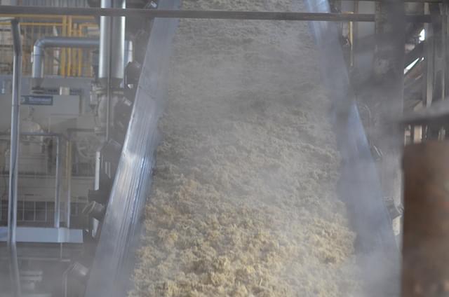 Raw sugar coming out of a cane crushing facility in a sugar factory.&nbsp;