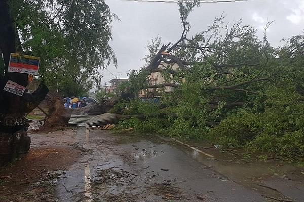 Havoc wrecked by cyclone Gaja (@Jazaldo07/Twitter)